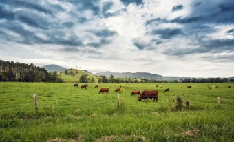 Selected project| multi-functional ranch between Queensland and New South Wales
